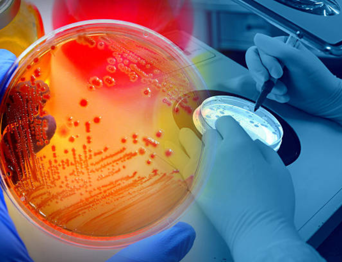 media.Progetto senza titolo - 2023-01-31T094052.819