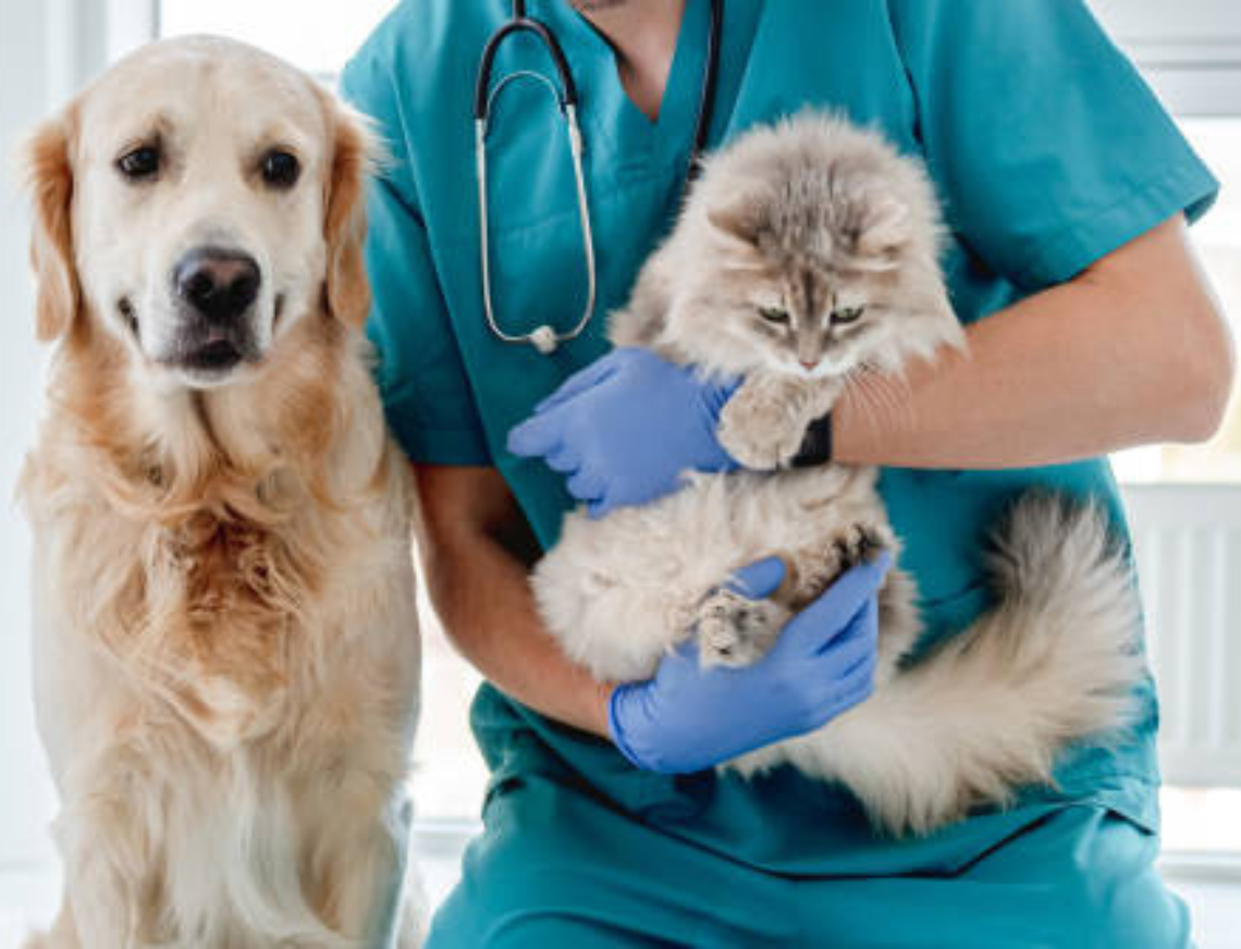 media.Progetto senza titolo - 2023-01-31T103250.353