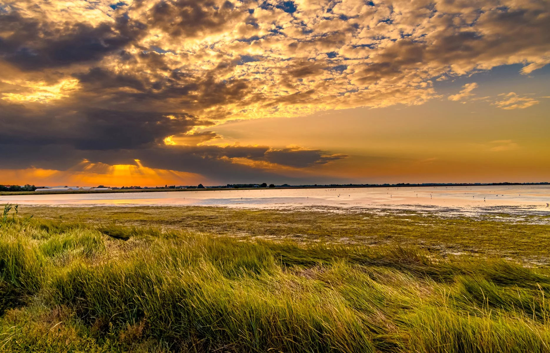 media.Slide-Saline-Cervia-1-Hotel-Savini-Igea-Marina